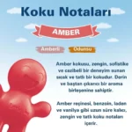 Little Joe Amber Araç Kokusu (Amber) -45 Gün -Oto Kokusu Kalıcı Klima Parfüm