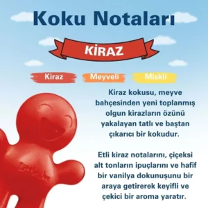 Little Joe Kiraz Araç Kokusu (Cherry) -45 Gün -Oto Kokusu Kalıcı Klima Parfüm
