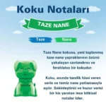 Little Joe Little Pup Taze Nane Araç Kokusu (Minty Fresh) -45 Gün -Oto Kokusu Kalıcı Klima Parfüm