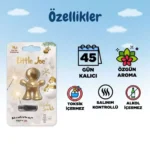 Little Joe Meyve Çiçek Araç Kokusu (Holiday Sparkle) -45 Gün -Oto Kokusu Kalıcı Klima Parfüm
