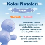 Little Joe Sakız Araç Kokusu (Bubble Gum) -45 Gün -Oto Kokusu Kalıcı Klima Parfüm
