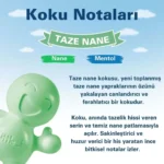 Little Joe Taze Nane Araç Kokusu (Fresh Mint) -45 Gün -Oto Kokusu Kalıcı Klima Parfüm