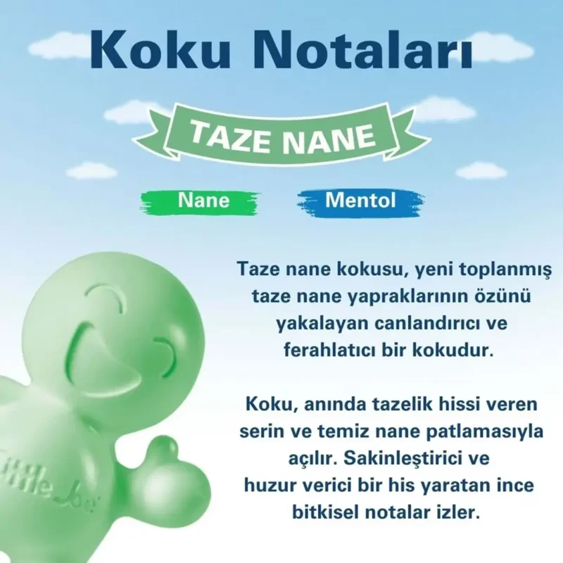 Little Joe Taze Nane Araç Kokusu (Fresh Mint) -45 Gün -Oto Kokusu Kalıcı Klima Parfüm